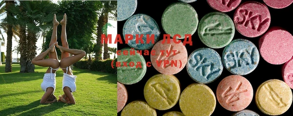 ECSTASY Ельня