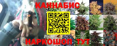 ПСИЛОЦИБИНОВЫЕ ГРИБЫ Краснодар