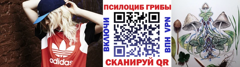 Псилоцибиновые грибы Cubensis  Кунгур 
