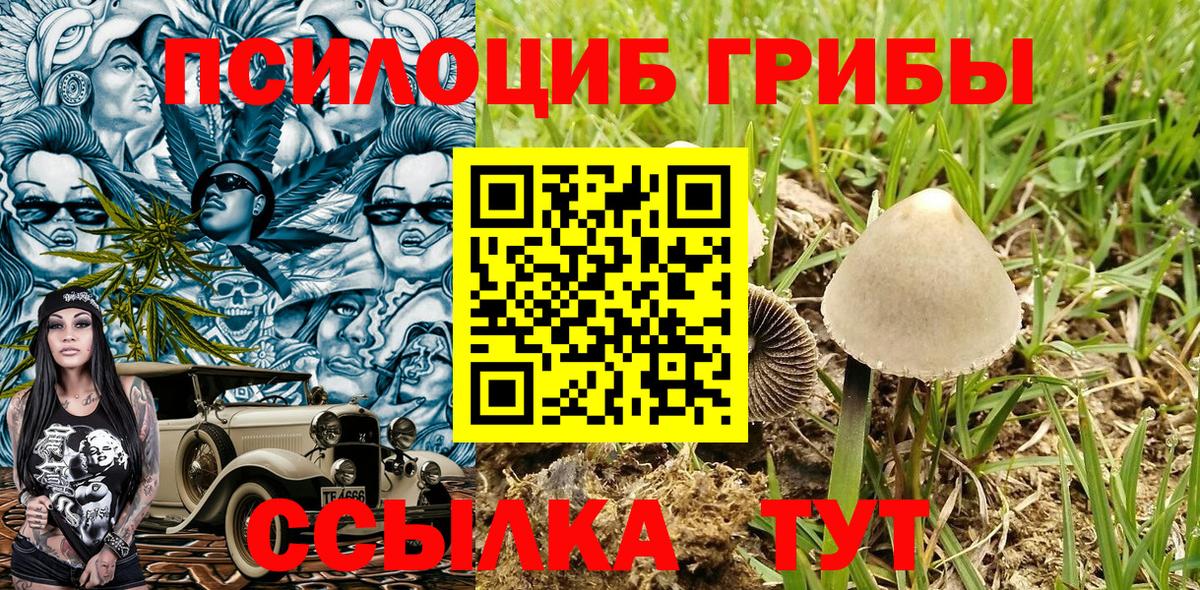 Псилоцибиновые грибы мицелий  Вход с VPN  Кунгур 